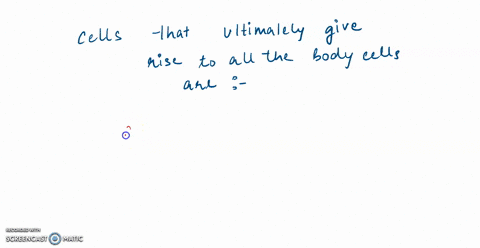 cells-that-ultimately-give-rise-to-all-cells-in-the-body-are-called-gametes-embryonic-stem-cells-17632