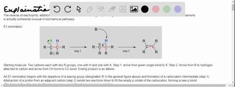 the-following-model-is-that-of-an-allylic-carbocation-intermediate-formed-by-protonation-of-a-conj-2-54885