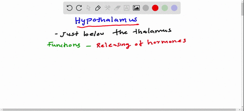 the-neural-structure-that-most-directly-regulates-cating-drinking-and-body-temperature-is-the-a-endo-95864