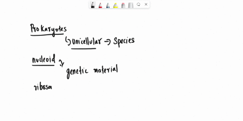 describe-three-functions-of-the-prokaryotic-cytoplasmic-membrane-46954