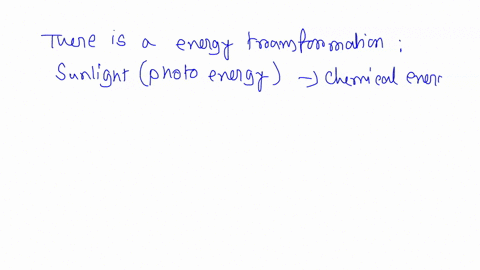 what-kind-of-energy-transformation-is-taking-place-in-the-plant-in-the-photograph-o-a-potential-energy-nuclear-energy-b-solar-energy-chemical-energy-c-potential-energy-kinetic-energy-d-chemi-19331