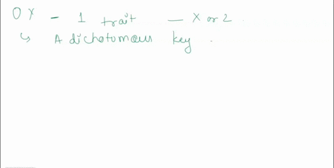 this-chart-shows-a-portion-of-a-dichotomous-key-dichotomous-key-which-relationship-can-be-determined-from-this-dichotomous-key-organism-x-and-organism-z-have-at-least-one-observable-trait-in-72284