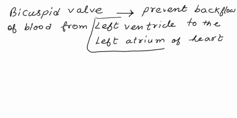 provide-only-the-answer-please-no-explanation-needed-thank-you-question-216points-the-bicuspid-valve-directhy-prevents-backflow-of-blood-from-the-1-to-the-2which-best-fits-into-1-and-2-a1pul-83894