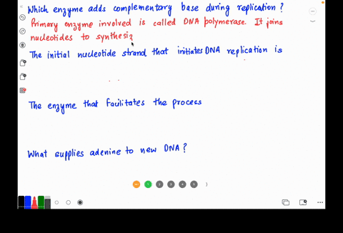 1-which-enzyme-adds-complementary-bases-during-replication-2-the-initial-nucleotide-strand-that-initiates-dna-replication-is-called-3-the-enzyme-that-facilitates-the-process-from-question-14-79467
