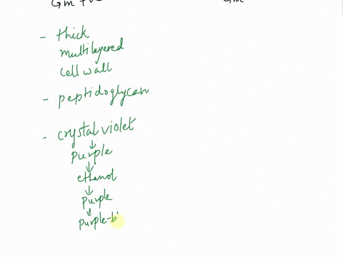 differentiate-between-gram-positive-and-gram-negative-bacteria-60543