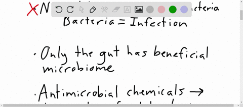 recent-years-have-seen-an-increase-in-products-with-antimicrobial-properties-the-most-common-human-pathogens-are-microbesyet-some-people-argue-that-these-products-may-be-counterproductive-an-91935