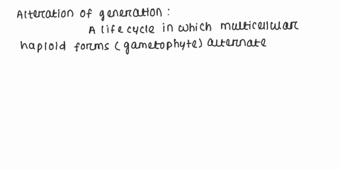 in-a-life-cycle-with-alternation-of-generations-multicellularhaploid-forms-alternate-witha-unicellular-haploid-formsb-unicellular-diploid-formsc-multicellular-haploid-formsd-multicellular-di-85046