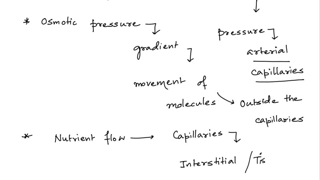 SOLVED Hypoventilation Interstitial fluid, arterial blood, and cells B