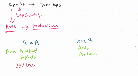 aphids-can-feed-in-the-leafy-treetops-or-tree-canopies-ants-are-usually-not-abundant-in-the-tree-canopies-unless-aphids-are-also-present-you-introduce-aphids-to-an-area-of-the-tree-canopy-an-27055