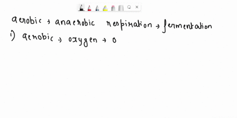 1-what-are-the-similarities-and-differences-between-aerobic-respiration-anaerobic-respiration-and-fermentation-provide-an-explanation-for-the-differences-in-the-types-of-respiration-10-point-78043