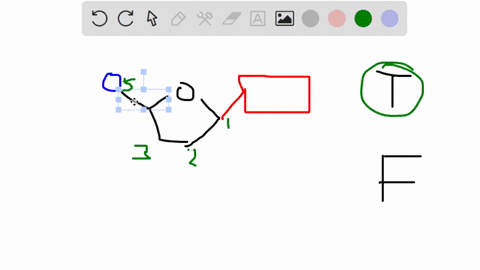dna-replication-v-during-the-replication-of-dna-dna-polymerase-has-to-synthesize-the-daughter-strand-in-the-5-to-3-direction-because-dna-polymerase-can-only-join-nucleotides-to-the-3-end-of-67868