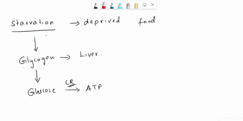 starvation-sets-in-after-3-to-4-days-without-food-which-hormones-change-in-response-to-low-glucose-levelsa-glucagon-and-insulinb-ketones-and-glucagonc-insulin-glucose-and-glucagond-insulin-a-68608