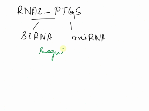 rnai-may-be-directed-by-small-interfering-rnas-sirnas-or-micrornas-mirnas-how-are-these-similar-and-how-are-they-different-00582