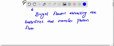 how-specialized-structures-increase-the-probability-of-successful-reproduction-in-the-plants-and-factors-that-affect-their-growth-26833