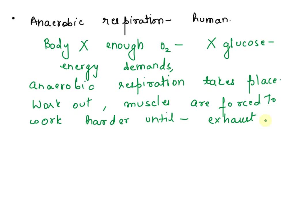 Where Does Anaerobic Respiration Occur