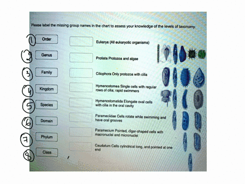 [GET ANSWER] Identify the names in the figure to assess your knowledge ...