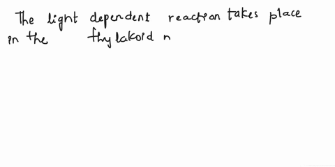 fill-in-the-products-and-reactants-and-label-the-light-dependent-and-light-independent-reactions_-pay-closeattentiontowherethearrowsarepointing_-co2-light-nadp-adp-calvin-light-starch-nadh-g-79114