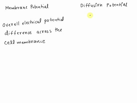 what-is-the-difference-between-the-membrane-potential-and-the-diffusion-potential-97551