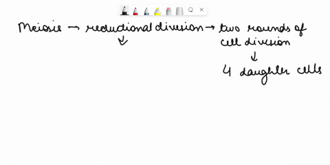 if-the-parent-cell-has-32-chromosomes-and-goes-through-meiosis-the-daughter-cell-will-have-how-many-number-of-chromosomes-49655