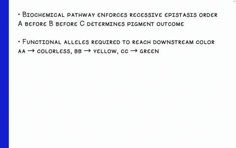 three-independently-assorting-genes-are-known-to-control-the-following-biochemical-pathway-that-provides-the-basis-for-flower-color-in-a-hypothetical-plant-colorless-yellow-b-green-speckled-98068