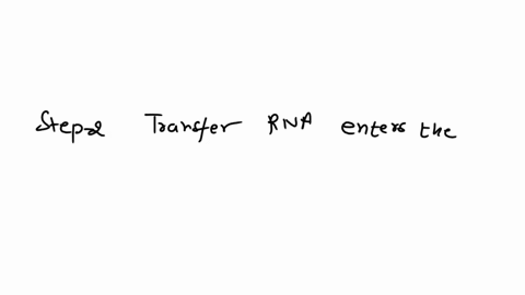place-these-steps-of-translation-in-the-correct-order-1-the-ribosome-attaches-to-the-5-cap-and-moves-down-the-mrna-until-it-finds-an-aug-within-a-special-sequence-2-when-hydrogen-bonds-form-05976