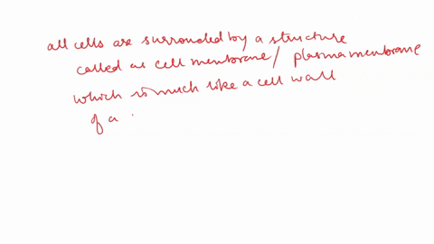 which-structure-is-found-in-all-types-of-living-cells-6-points-nucleus-cell-wall-lysosomes-cell-membrane-27556