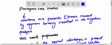 protozoan-case-studies-case-a22year-old-woman-was-admitted-to-the-emergency-departrent-at-300-am-complaining-of-burning-during-urination-and-severe-vaginal-itching-the-physician-ordered-rout-34409