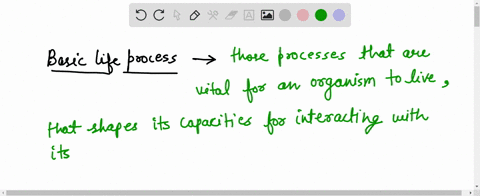 name-the-basic-life-process-comman-to-all-living-being-01256