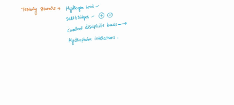 disulfide-bonds-help-to-stabilize-the-three-dimensional-structure-of-proteins_-what-amino-acids-are-involved-in-the-formation-of-disulfide-bonds-does-the-formation-of-disul-fide-bond-increns-81803