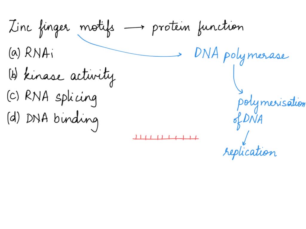 SOLVED 14. What types of secondary structures are shown in the zinc