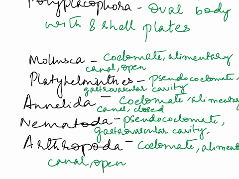 list-thc-thrce-iniin-pie-of-tha-mollusc-body-plan-vints-list-ane-lafining-fentute-of-cliat-gastrophoda-class-cephalopods-css-zuvuu-class-polyplacori-points-the-table-below-comparing-ihe-faat-71166