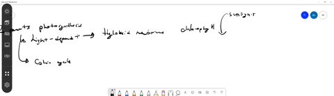 what-is-the-overall-outcome-of-the-light-reactions-in-photosynthesis-a-nadph-and-atp-molecules-are-produced-during-the-light-reactions-and-are-used-to-power-the-light-independent-reactions-b-nadph-a-2