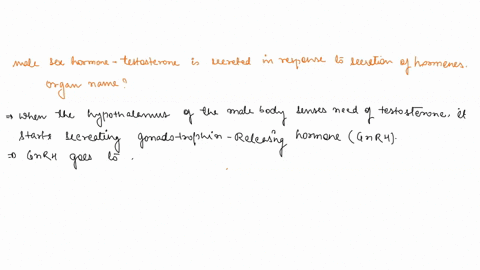 the-male-sex-hormone-testosterone-is-secreted-in-response-to-secretion-of-hormones-by-the-__________-74362