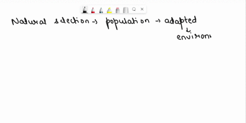 how-does-natural-selection-cause-a-change-in-a-population-a-only-the-strongest-individuals-reproduce-b-mutations-in-the-population-are-always-favored-c-only-some-survive-because-variation-ex-79253