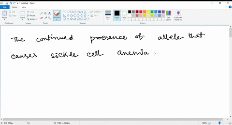 the-continued-presence-of-the-allele-that-causes-sickle-cell-anemia-in-areas-where-falciparum-mala-4-70427