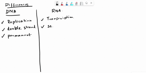 dna-and-rna-describe-how-each-are-synthesized-replication-transcription-noting-key-differences-similarities-90822