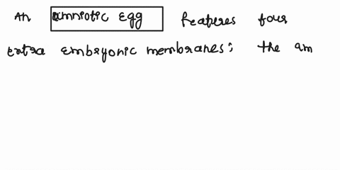 fill-in-the-blank-choose-from-provided-options-an-amniotic-egg-has-four-extra-embryonic-membranes-the-allantois-eggshell-amnion-chorion-yolk-sac-is-found-in-all-vertebrate-eggs-even-non-amni-41497