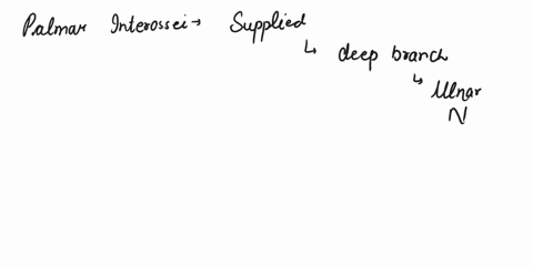 question-7-not-yet-answered-marked-out-of-100-flag-question-a-man-is-unable-to-hold-typing-paper-between-his-index-and-middle-fingerswhich-of-the-following-nerves-was-likely-injured-oamuscul-10067