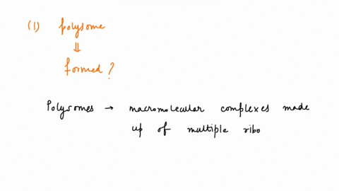 question-46-a-polysome-forms-when-multiple-dnas-are-synthesized-at-the-same-time-multiple-mrnas-are-synthesized-at-the-same-time-multiple-proteins-are-synthesized-at-the-same-time-multiple-s-09077