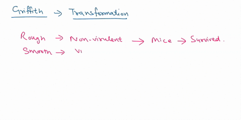 what-is-bacterial-transformation-explain-with-griffith-experiment-35112