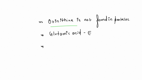 1-which-of-the-following-is-an-amino-acid-not-found-in-proteinsa-asparagineb-ornithinec-isoleucined-proline2-which-amino-acid-has-the-one-letter-symbol-ea-alysinebphenylalaninechistidinedglutamic-acid