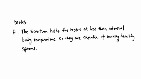what-is-true-of-the-testes-or-its-cell-types-leydig-cells-make-inhibin-which-primarily-constrains-lh-secretion-interstitial-cells-line-the-seminiferous-tubule-and-make-the-fluid-that-pushes-immaturate