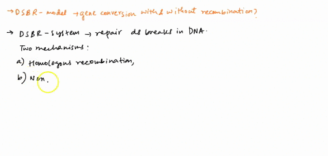 how-is-the-double-strand-break-repair-model-dsbr-able-to-account-for-gene-conversion-with-and-without-recombination-05705