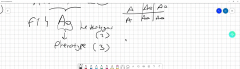 1-multiple-choice-a-heterozygous-b-x-sex-linked-traits-c-inclomplete-dorminance-d-standard-dorminance-e-recessive-f-epistasis-g-genotype-h-phenotype-i-dominant-j-homozygous-k-codominance-a-i-40587