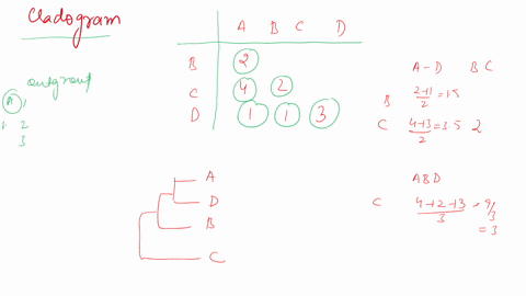 construct-a-cladogram-based-on-the-following-information-indicate-which-nucleotide-base-changed-and-the-change-that-occurred-1-2-3-4-5-6-7-8-9-outgroup-tt-g-c-c-c-a-a-a-dragons-t-6-6-c-c-c-a-16789