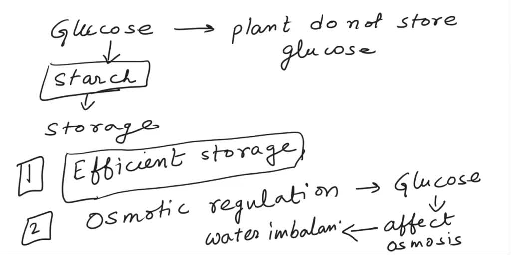 SOLVED 3. The end product of photosynthesis is glucose, then why we