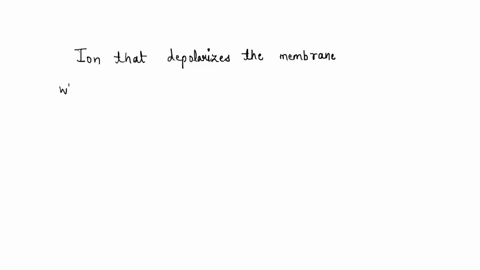 what-ion-depolarizes-the-membrane-when-it-diffuses-into-the-axon-of-a-neuron-40227