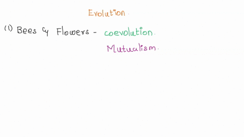 match-each-species-with-its-mode-of-evolution-1-bees-and-flowers-2cichlid-fishes-3flying-squirrel-and-flying-phalanger-apairs-convergent-evolution-b-coevolution-c-divergent-evolution-07529
