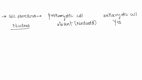 what-cell-structured-are-seen-in-prokaryotic-and-eukayotic-cells-51398