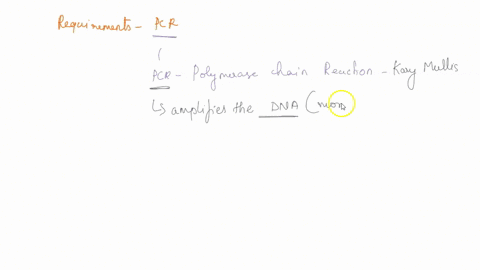for-dna-amplification-using-pcr-to-occur-which-of-the-following-are-needed-a-dna-primers-b-thermo-stable-dna-polymerase-c-helicase-d-choices-a-and-b-72028